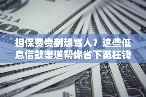 北京担保费贵到想骂人？这些低息借款渠道帮你省下冤枉钱