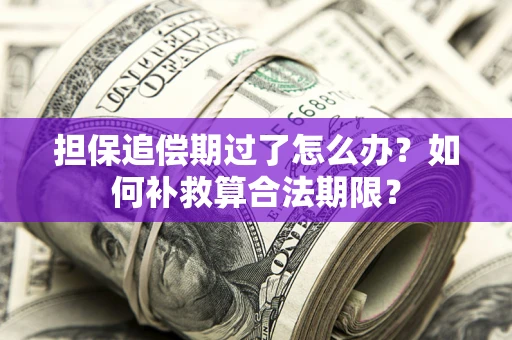北京担保追偿期过了怎么办？如何补救算合法期限？