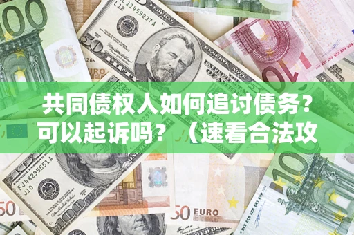 北京共同债权人如何追讨债务？可以起诉吗？（速看合法攻略）